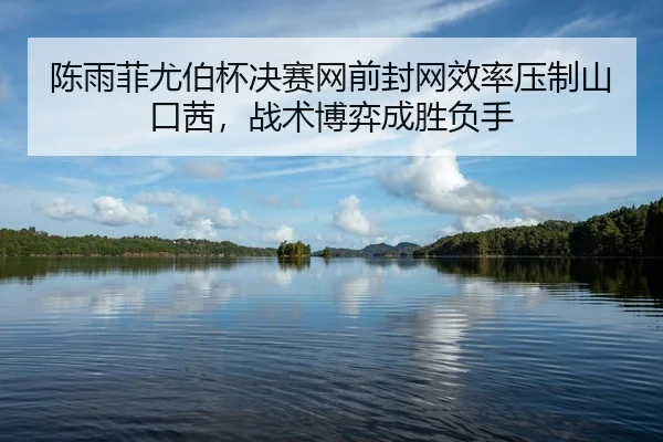陈雨菲尤伯杯决赛网前封网效率压制山口茜，战术博弈成胜负手