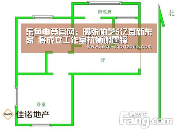 乐鱼电竞官网:曝张柏芝5亿签新东家 将成立工作室抗衡谢霆锋(图1) 乐鱼电竞平台