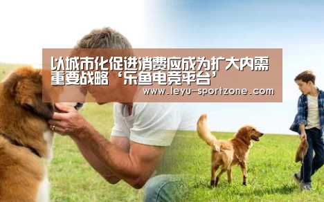 乐鱼电竞官网