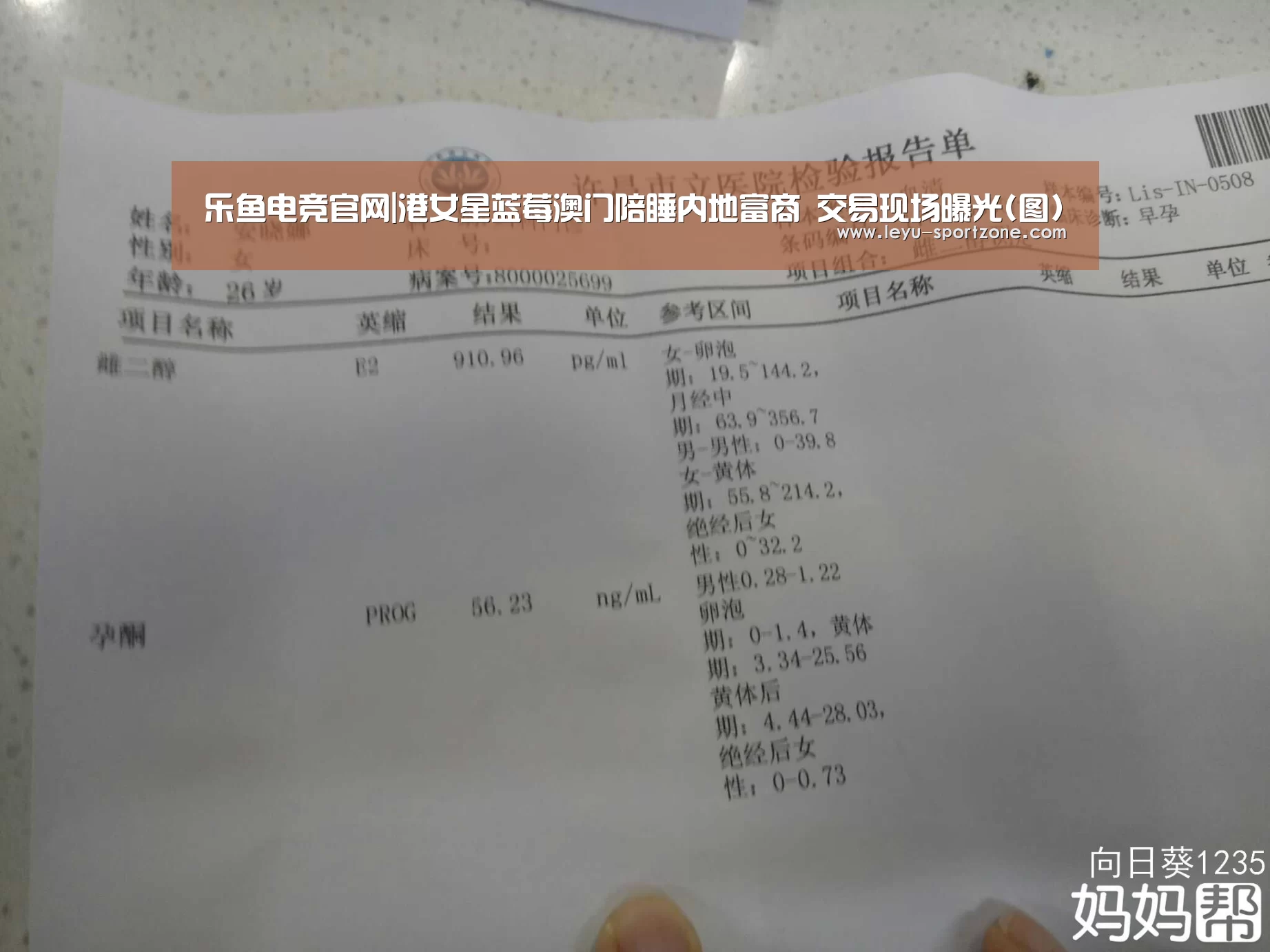 乐鱼电竞