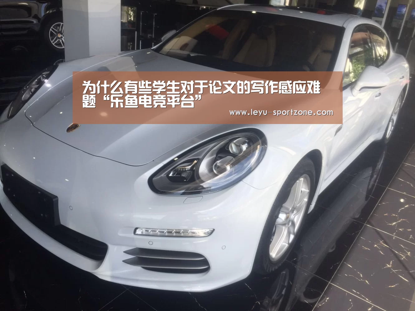 为什么有些学生对于论文的写作感应难题“乐鱼电竞平台”(图1) 乐鱼电竞